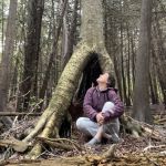 A person sits at the base of a tree looking upwards.