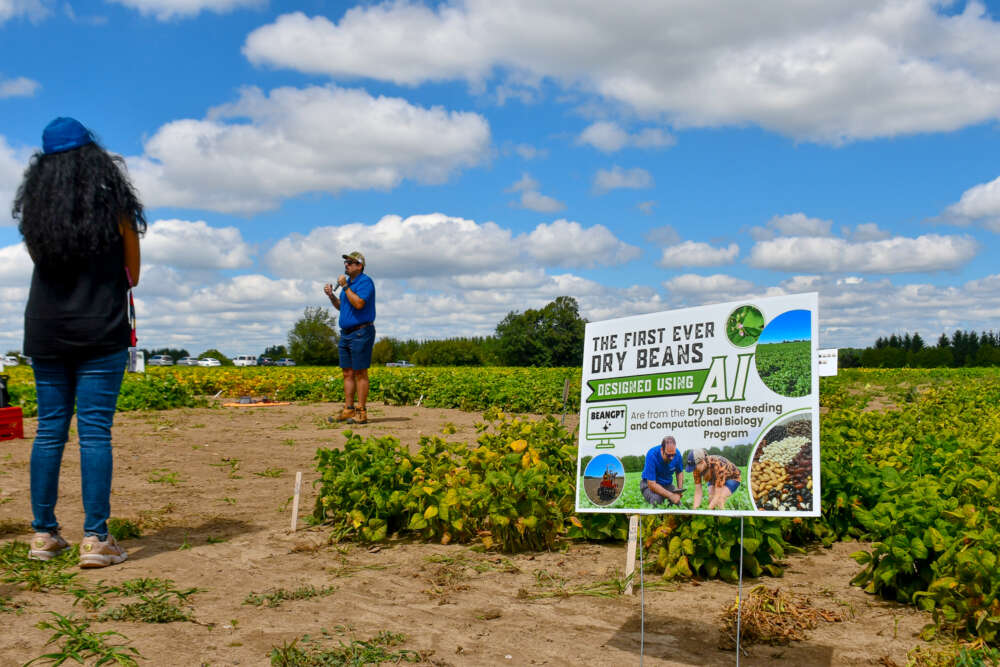 people stand in a field surrounded by plants