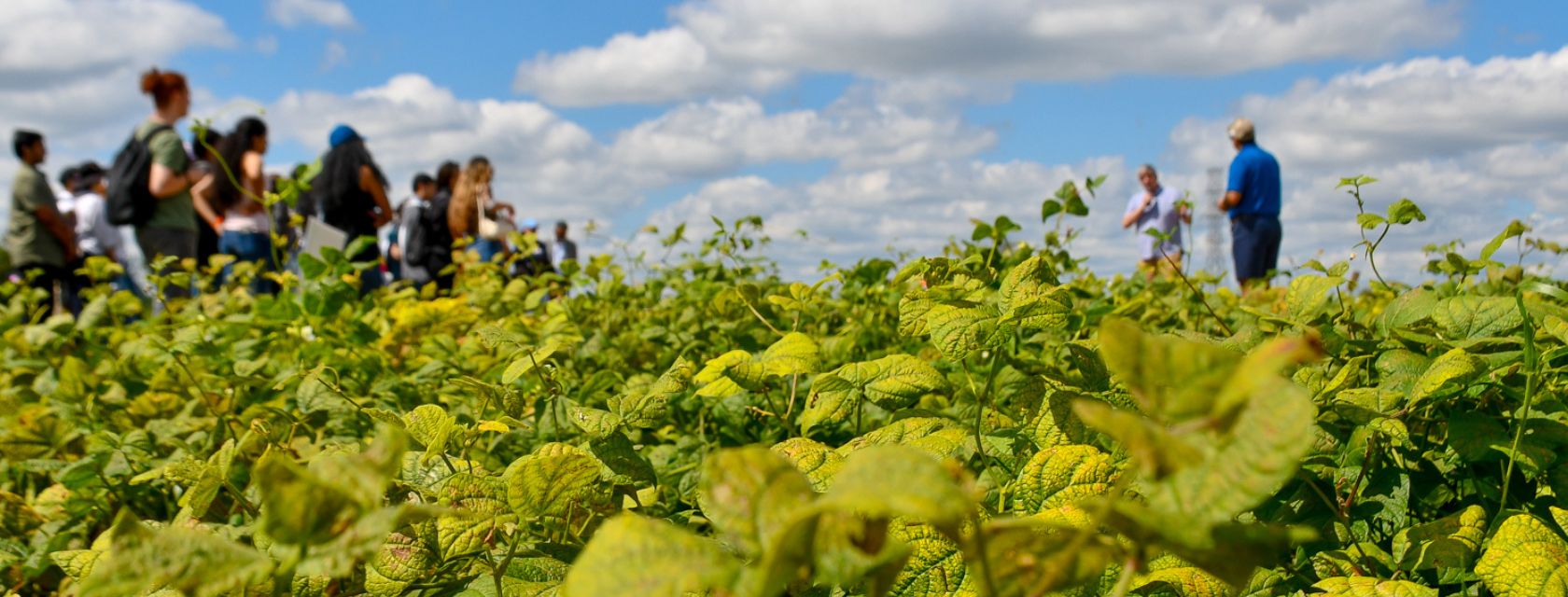 a group of people stands in front of a field with green plants in the foreground