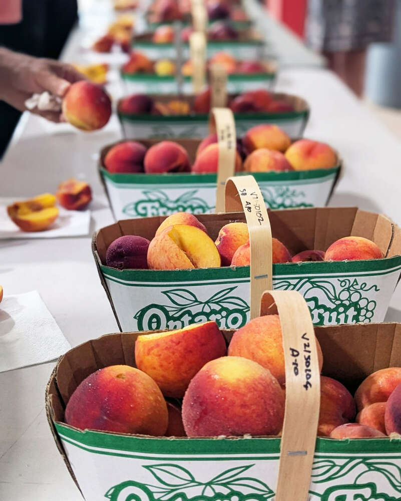a table with baskets of various varieties of peaches
