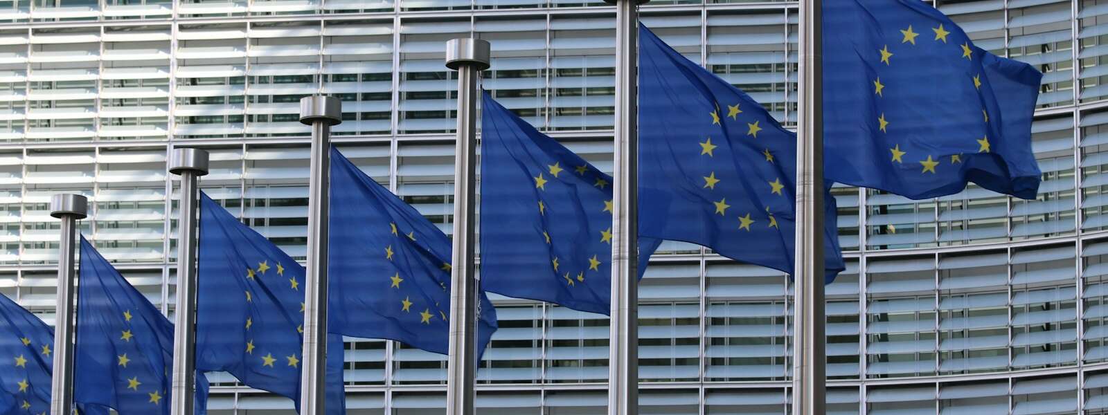 row of european union flags