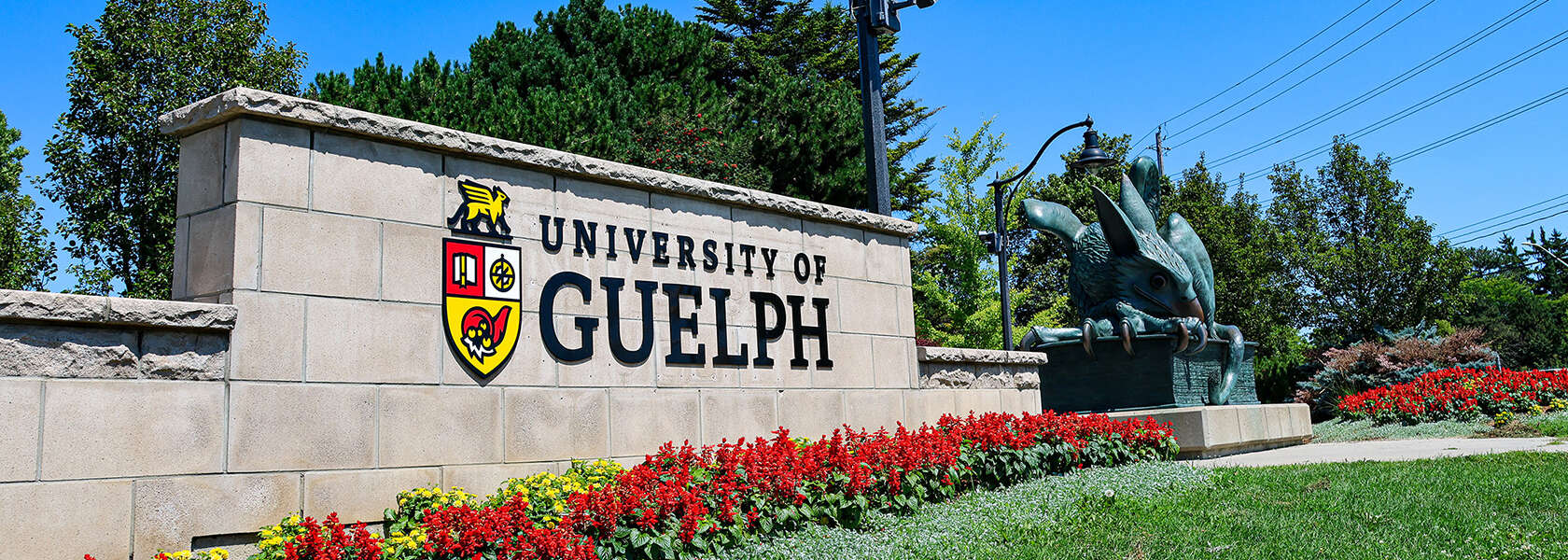 Eight Researchers Honoured with U of G Research Excellence Awards