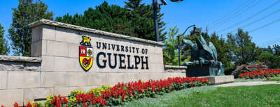 Eight Researchers Honoured with U of G Research Excellence Awards