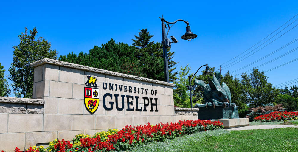 a stone sign reading university of guelph in front of a large statue of a winged creature