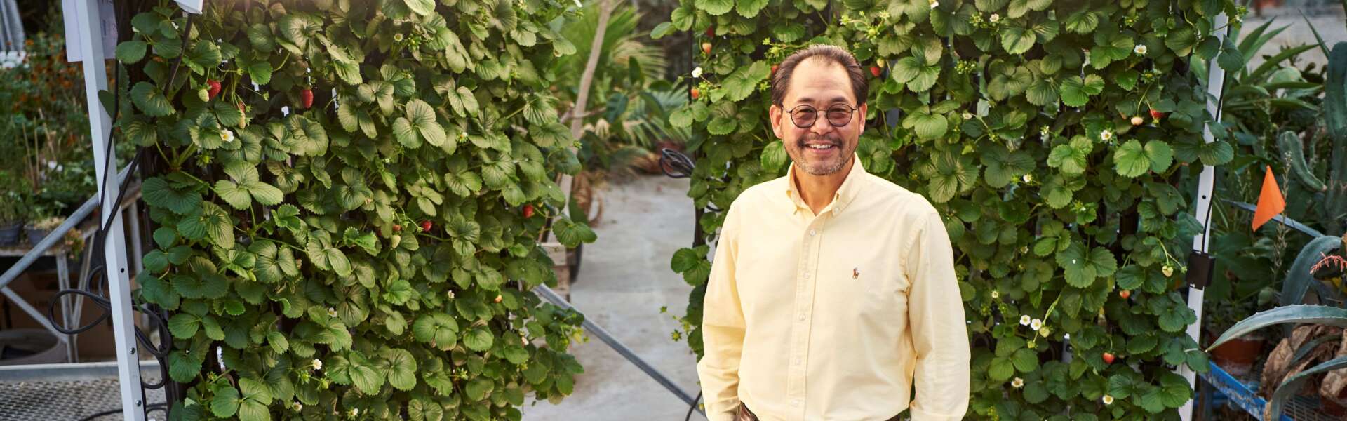 person in button shirt stands in front of green plants on a wall