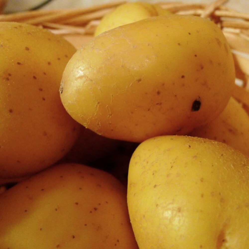 A closeup of a wicker basket full of potatoes